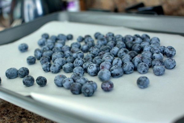 Blueberries Before